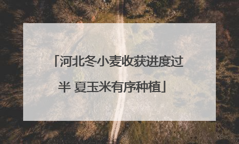 河北冬小麦收获进度过半 夏玉米有序种植