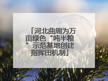河北曲周为万亩绿色“吨半粮”示范基地创建指挥田机制