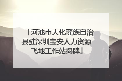 河池市大化瑶族自治县驻深圳宝安人力资源飞地工作站揭牌