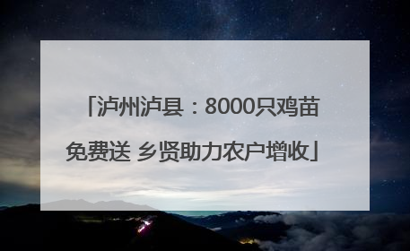 泸州泸县：8000只鸡苗免费送 乡贤助力农户增收