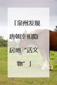 泉州发现唐朝宰相隐居地“活文物”
