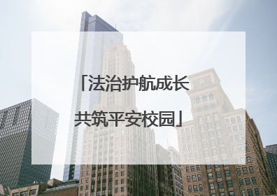 法治护航成长 共筑平安校园