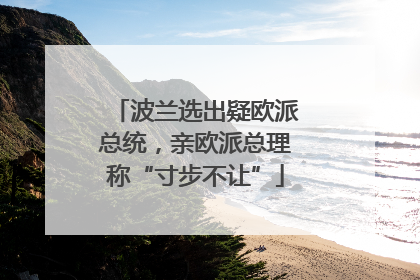 波兰选出疑欧派总统，亲欧派总理称“寸步不让”