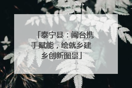 泰宁县：闽台携手赋能，绘就乡建乡创新图景
