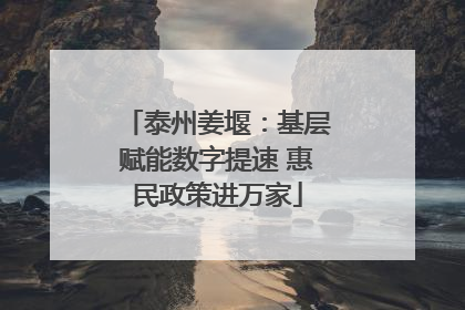 泰州姜堰：基层赋能数字提速 惠民政策进万家
