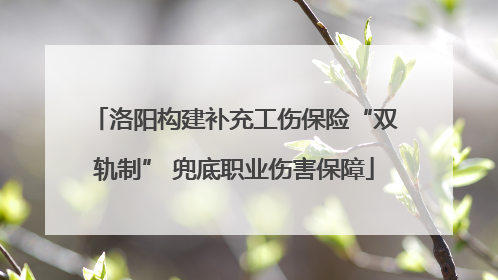 洛阳构建补充工伤保险“双轨制” 兜底职业伤害保障