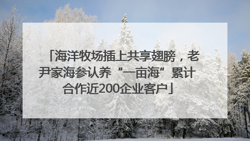 海洋牧场插上共享翅膀，老尹家海参认养“一亩海”累计合作近200企业客户