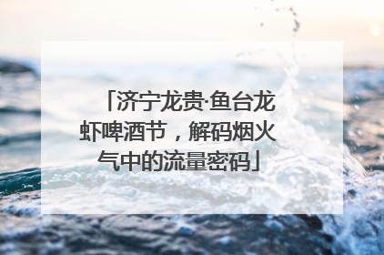 济宁龙贵·鱼台龙虾啤酒节，解码烟火气中的流量密码