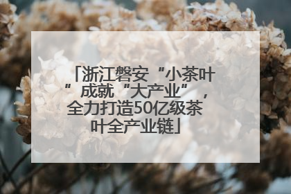 浙江磐安“小茶叶”成就“大产业”，全力打造50亿级茶叶全产业链