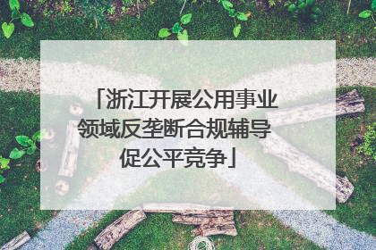 浙江开展公用事业领域反垄断合规辅导 促公平竞争
