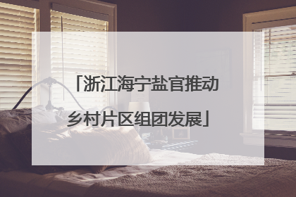 浙江海宁盐官推动乡村片区组团发展