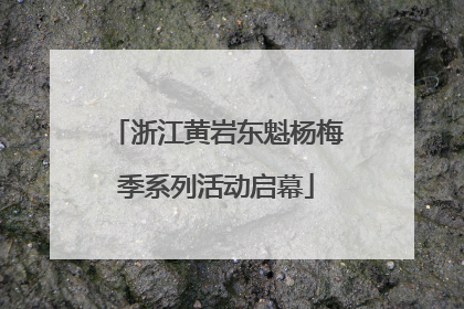 浙江黄岩东魁杨梅季系列活动启幕