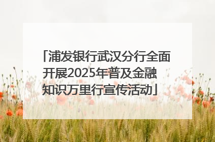 浦发银行武汉分行全面开展2025年普及金融知识万里行宣传活动