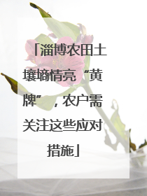 淄博农田土壤墒情亮“黄牌”，农户需关注这些应对措施
