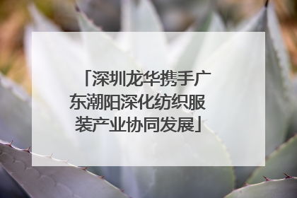 深圳龙华携手广东潮阳深化纺织服装产业协同发展