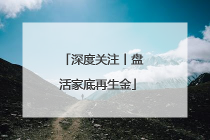 深度关注丨盘活家底再生金