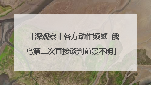 深观察丨各方动作频繁  俄乌第二次直接谈判前景不明
