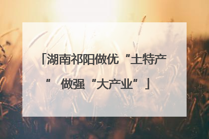 湖南祁阳做优“土特产” 做强“大产业”