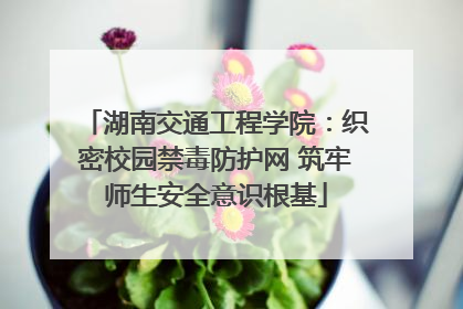 湖南交通工程学院：织密校园禁毒防护网 筑牢师生安全意识根基