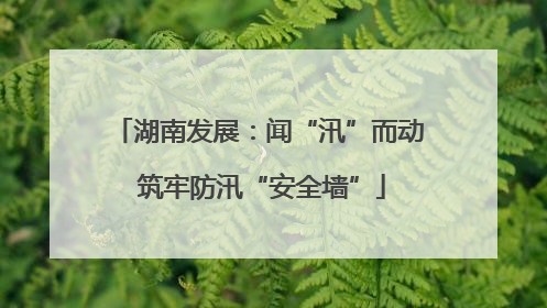 湖南发展：闻“汛”而动 筑牢防汛“安全墙”