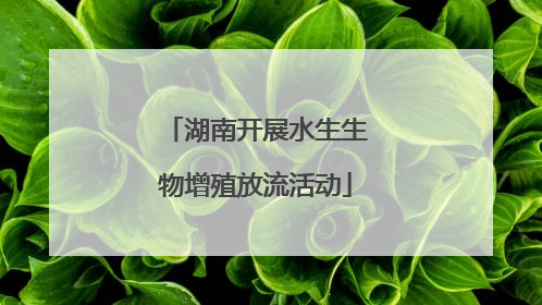 湖南开展水生生物增殖放流活动