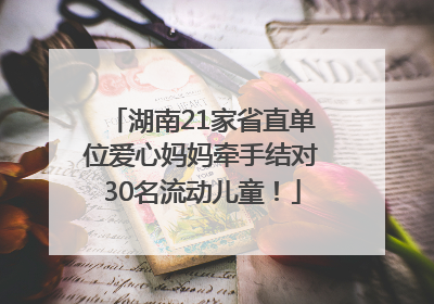 湖南21家省直单位爱心妈妈牵手结对30名流动儿童！