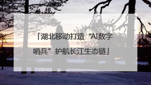 湖北移动打造“AI数字哨兵”护航长江生态链