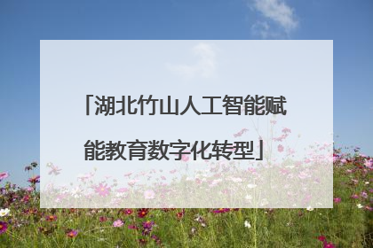 湖北竹山人工智能赋能教育数字化转型