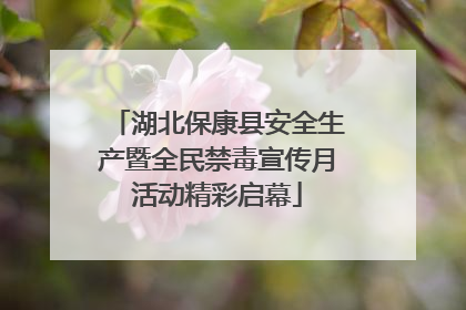 湖北保康县安全生产暨全民禁毒宣传月活动精彩启幕