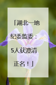 湖北一地纪委监委：5人获澄清正名！