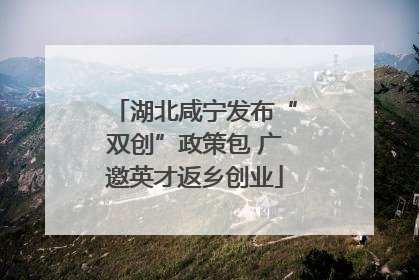 湖北咸宁发布“双创”政策包 广邀英才返乡创业