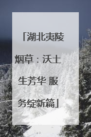 湖北夷陵烟草：沃土生芳华 服务绽新篇