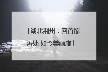湖北荆州：回首惊涛处 如今美画廊