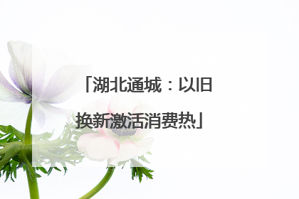 湖北通城：以旧换新激活消费热