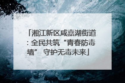 湘江新区咸嘉湖街道：全民共筑“青春防毒墙” 守护无毒未来