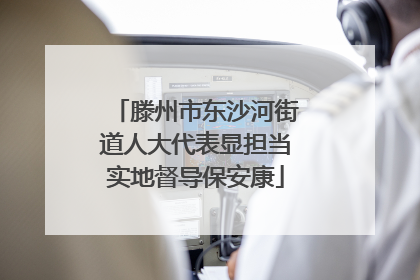 滕州市东沙河街道人大代表显担当实地督导保安康