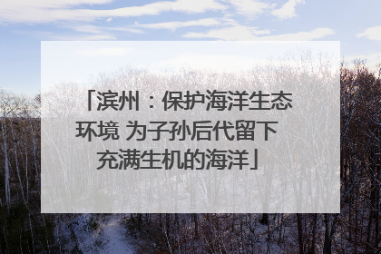 滨州：保护海洋生态环境 为子孙后代留下充满生机的海洋