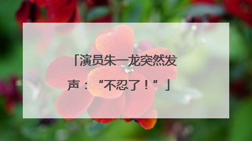 演员朱一龙突然发声：“不忍了！”
