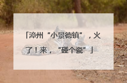 漳州“小景德镇”，火了！来，“碰个瓷”