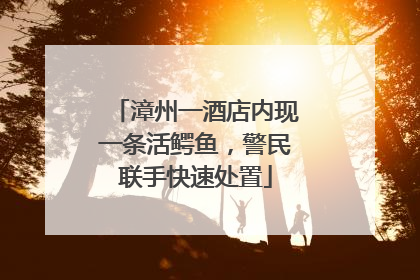 漳州一酒店内现一条活鳄鱼，警民联手快速处置