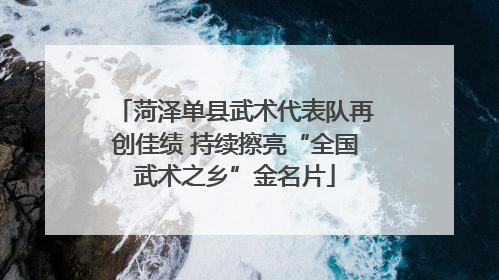 菏泽单县武术代表队再创佳绩 持续擦亮“全国武术之乡”金名片