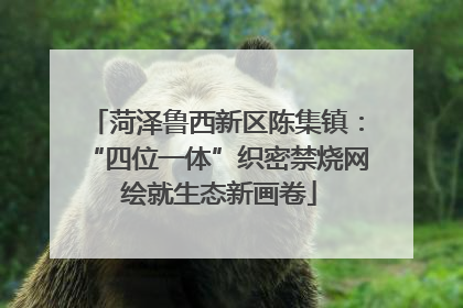 菏泽鲁西新区陈集镇：“四位一体”织密禁烧网 绘就生态新画卷
