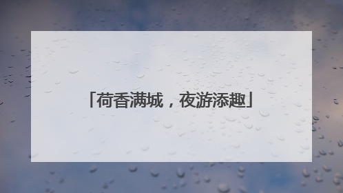 荷香满城，夜游添趣