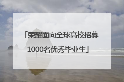 荣耀面向全球高校招募1000名优秀毕业生