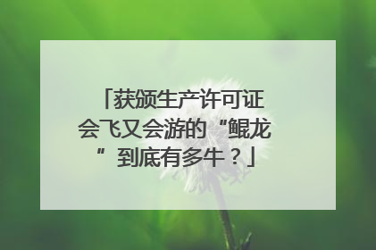 获颁生产许可证 会飞又会游的“鲲龙”到底有多牛？
