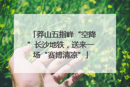 莽山五指峰“空降”长沙地铁，送来一场“赛博清凉”