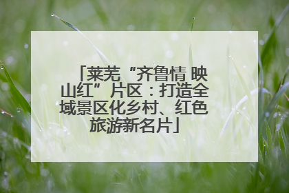 莱芜“齐鲁情 映山红”片区：打造全域景区化乡村、红色旅游新名片