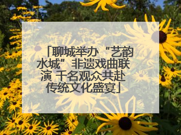 聊城举办“艺韵水城”非遗戏曲联演 千名观众共赴传统文化盛宴