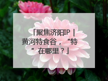 聚焦济阳IP｜黄河特食谷，“特”在哪里？