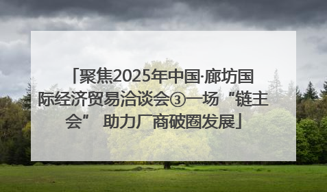 聚焦2025年中国·廊坊国际经济贸易洽谈会③一场“链主会” 助力厂商破圈发展
